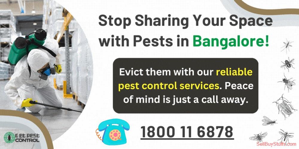 Delhi Best Pest Control Services in Bangalore – Verified Experts, Transparent Prices