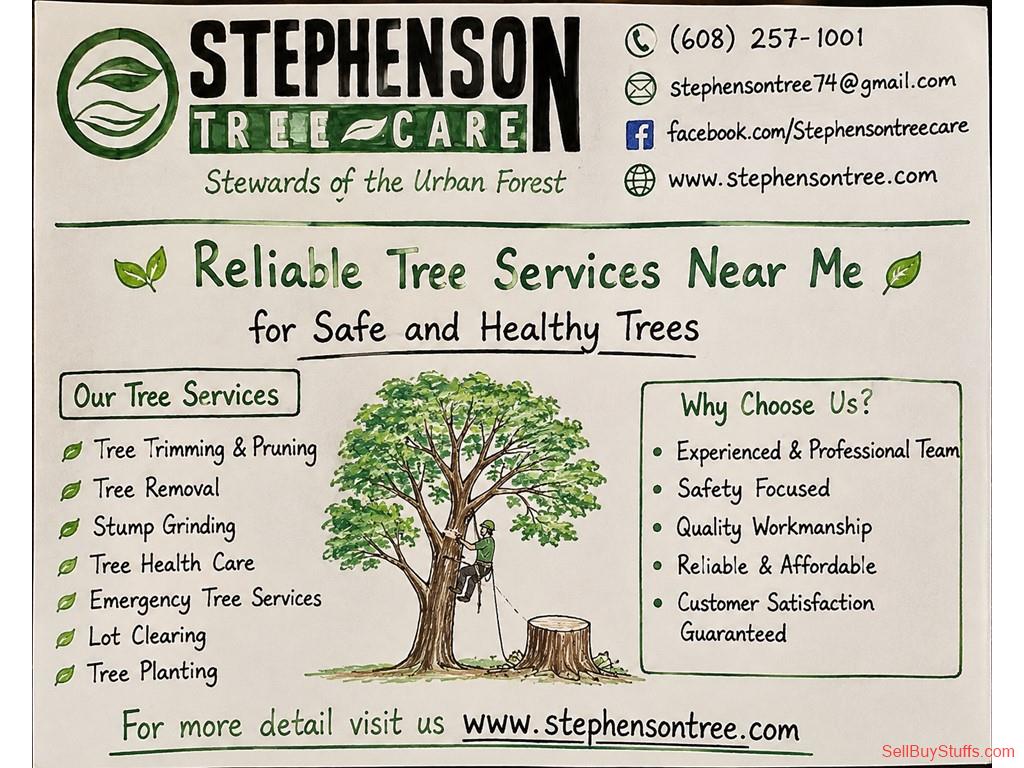 Indore Complete Tree Care Services Near Me for Residential and Commercial Properties
