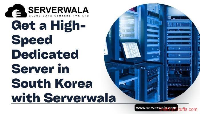 Jaipur Get a High-Speed Dedicated Server in South Korea with Serverwala