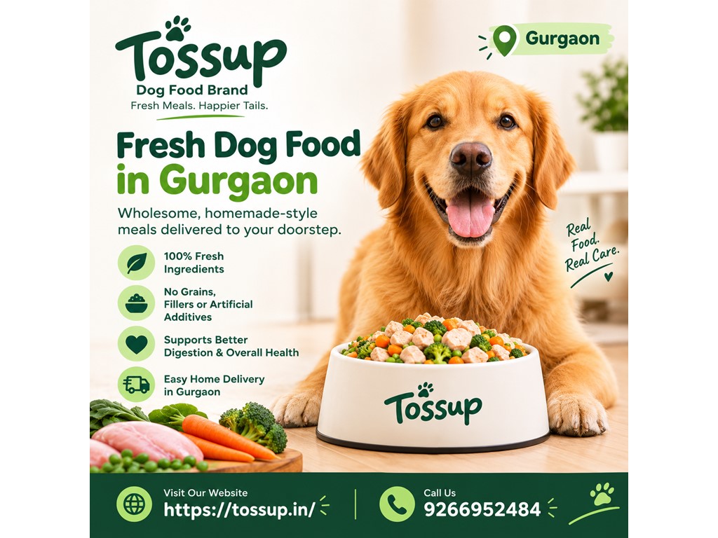Australia Classifieds Dog Food Delivery in Gurgaon – Fresh Meals for Dogs