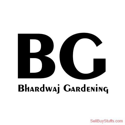 Indore Bhardwaj Gardening – More Greenery | Beauty | Life