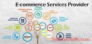 Indore  Affordable Social Media Advertising Packages for Small and Medium Businesses