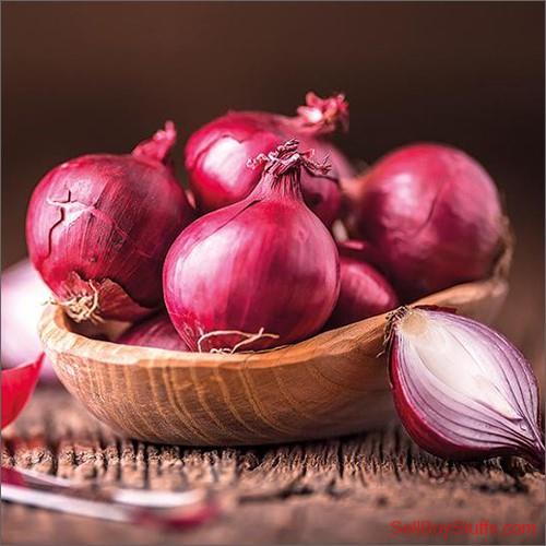 Trusted Indian red onion suppliers for bulk and export orders
