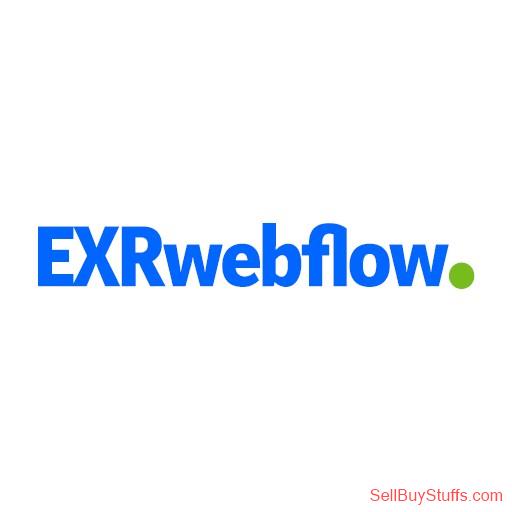 Arasikere EXR Webflow - LLM Development Services