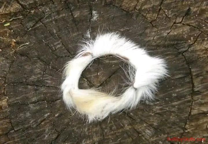 Australia Classifieds  Lost love spells in Namibia    ,+27735584255 SOUTH AFRICA .