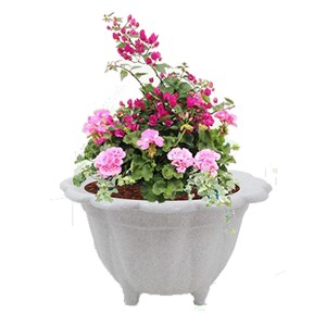 Ahmedabad Outdoor premium pots Manufacturer and suppliers
