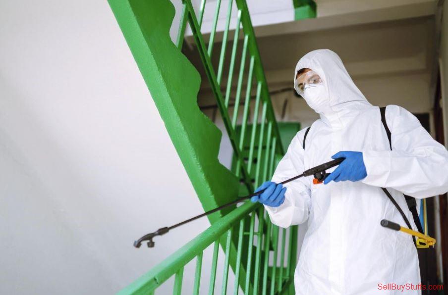 Australia Classifieds Exterminator