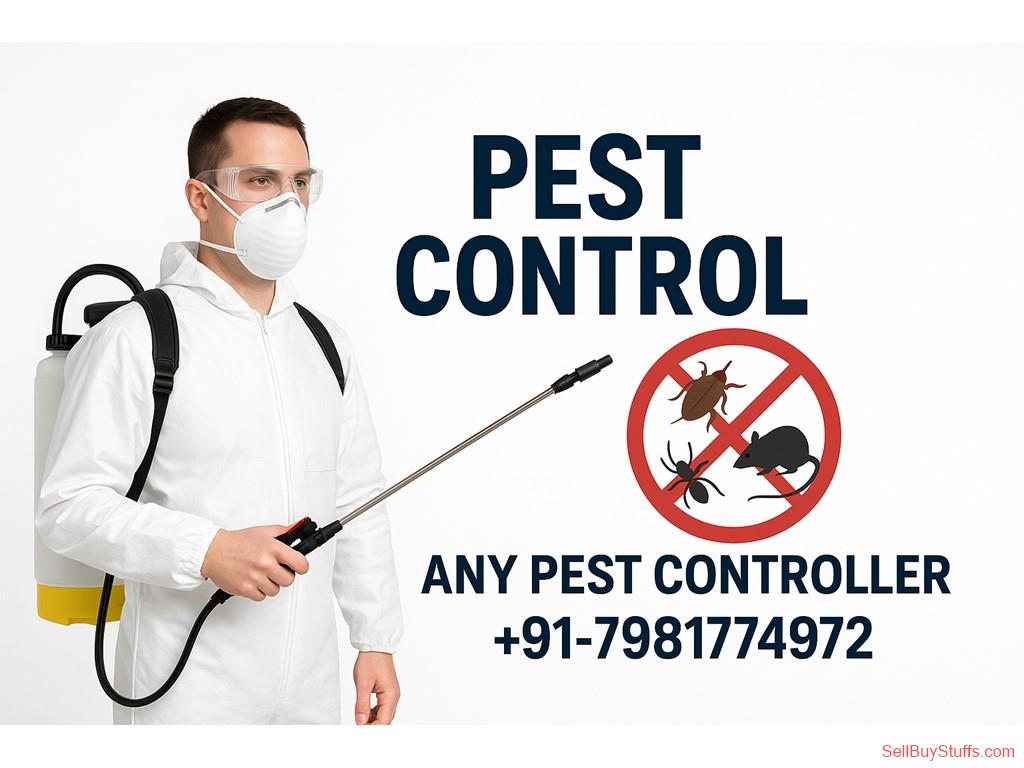 HYDERABAD-TELANGANA Any Pest Controller 