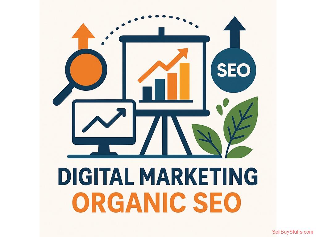 Asola Organic SEO Services
