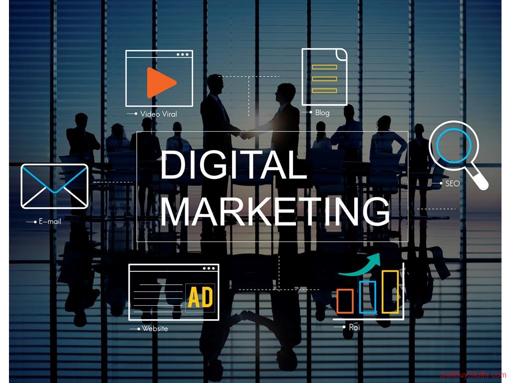 Kannur Freelance Digital Marketer in Kannur