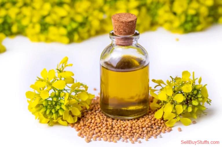 NOIDA Buy Mustard Oil in Bulk 