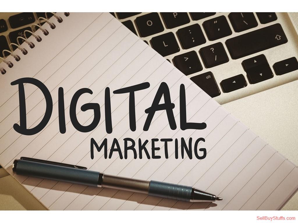 Surat Web Analytics Consulting Services - Dignizant Technologies LLP