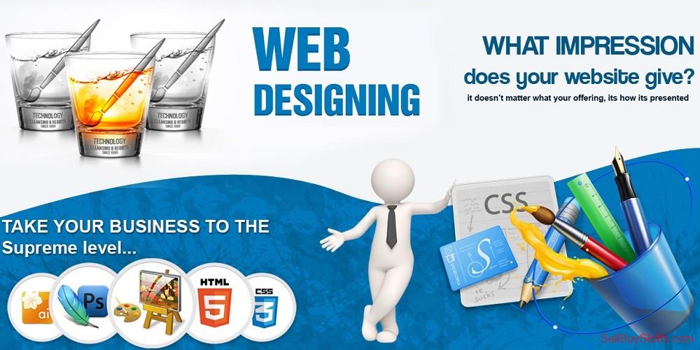 Delhi Web Design Agency in Delhi