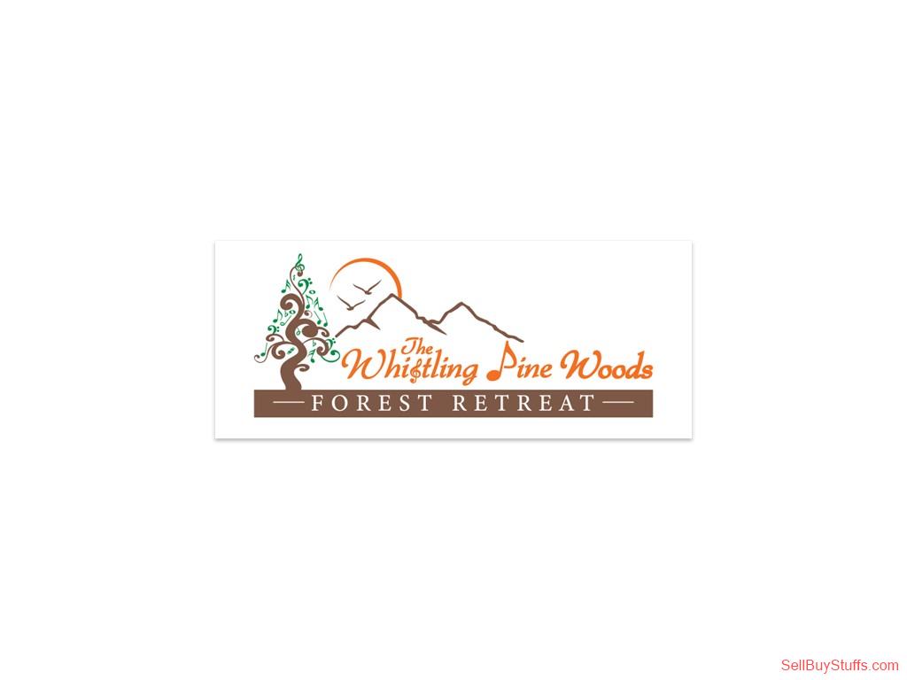 Coimbatore  The Whistling Pine Woods – Where Nature Whispers & Memories Echo