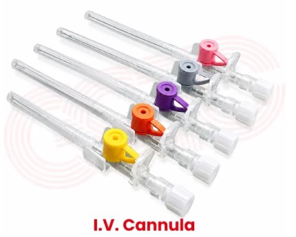 Delhi High-Quality IV Cannula Exporters from India