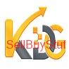 NOIDA Digital Marketing Services in Noida