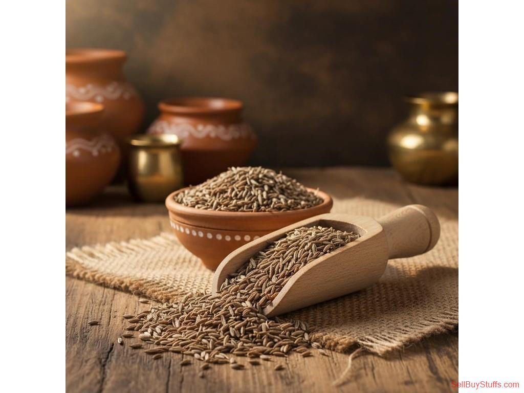 Top Cumin Seeds Manufacturers and Suppliers in India