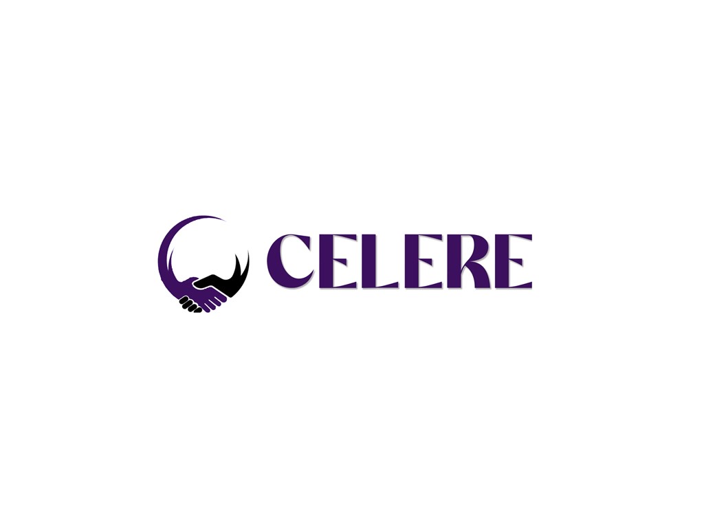 NOIDA Celere Services | Best Digital Marketing Company in India  
