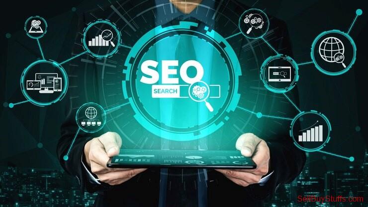 Multilingual Seo Services In India Multilingual Seo Services In India