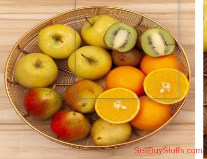 Mumbai Myntra-Aapno Rajasthan Gold-Toned Handcrafted Fruit Bowl