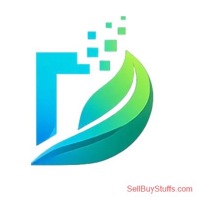 Faridabad SEO vs Google Ads for Business Growth