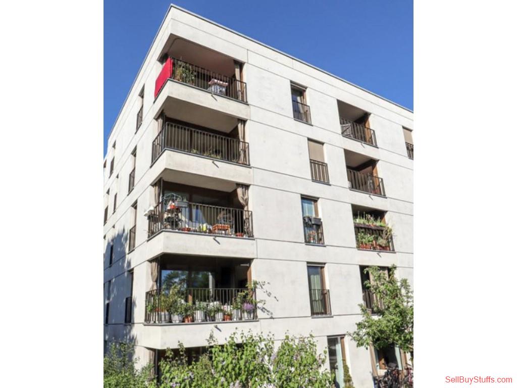 Risod Spacious Builder Floor for Rent in Risod