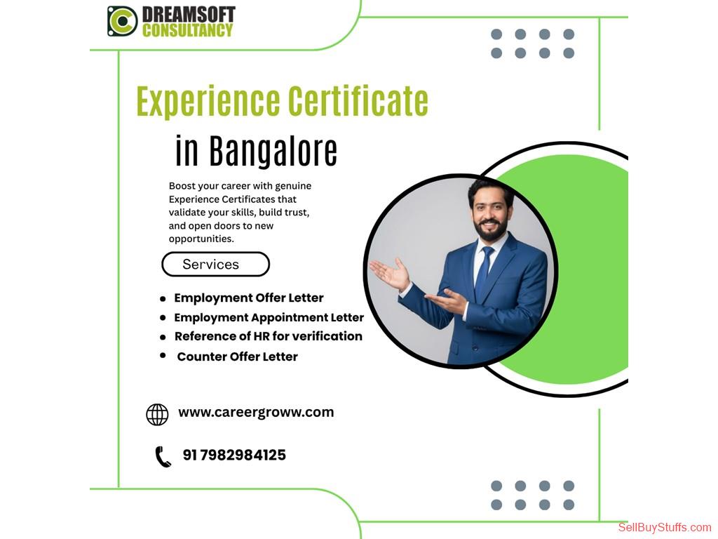 Delhi Experience Certificate Requirements for Working Professionals